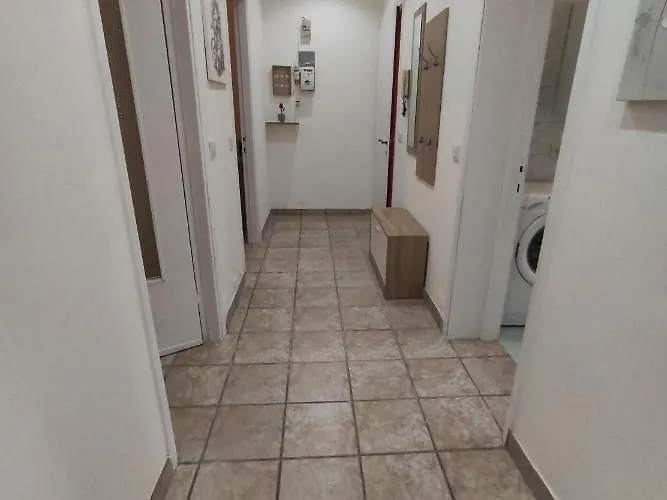 C&y Colombo * Novara