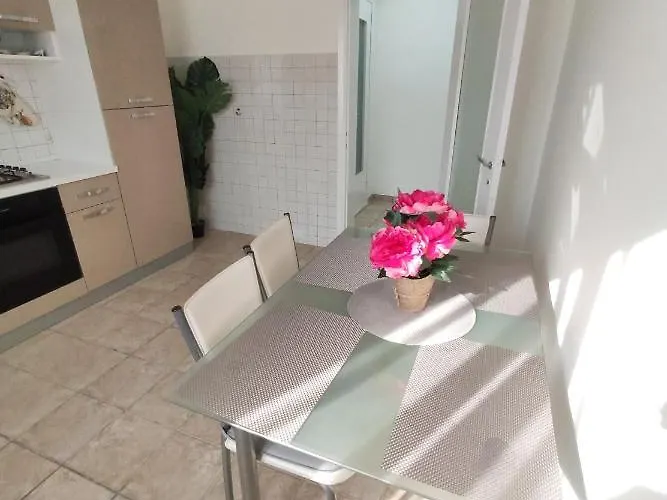 C&y Colombo * Novara